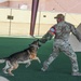 Creech AFB Dog Demo for FTEC