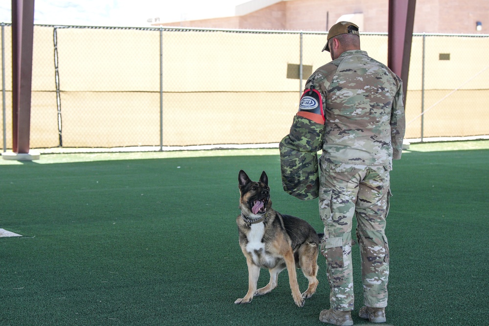 Creech AFB Dog Demo for FTEC