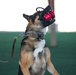 Creech AFB Dog Demo for FTEC
