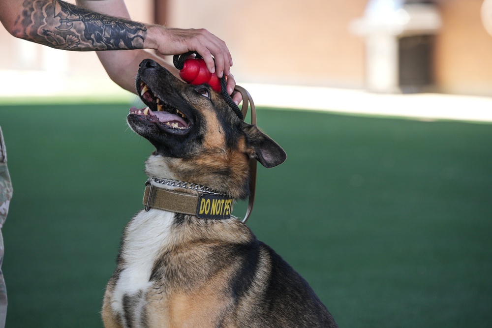 Creech AFB Dog Demo for FTEC