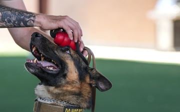 Creech AFB Dog Demo for FTEC
