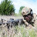 Exercise Iron Bison 25-01