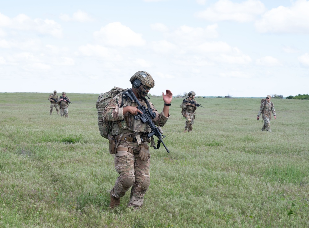 Exercise Iron Bison 25-01