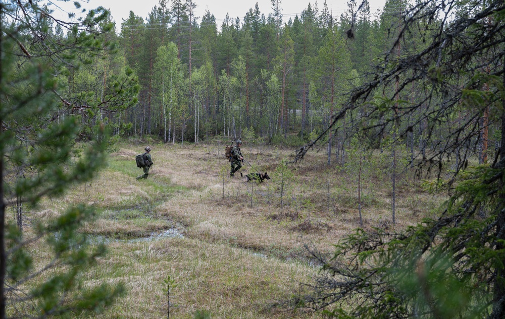 U.S. and Sweden partner for land navigation exercise