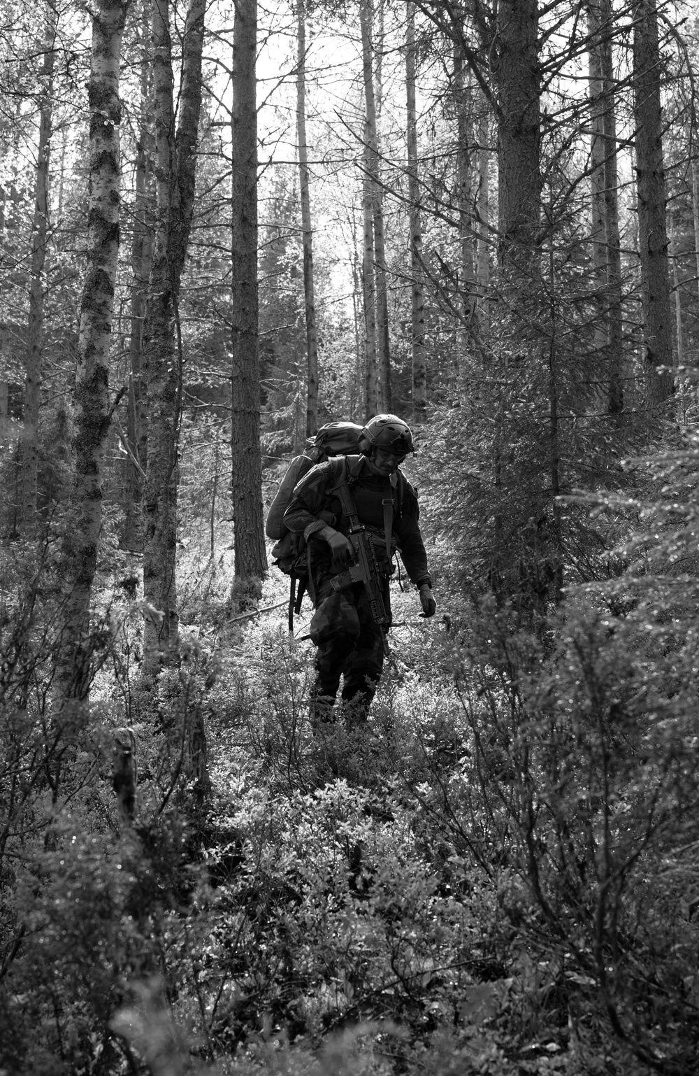 U.S. and Sweden partner for land navigation exercise