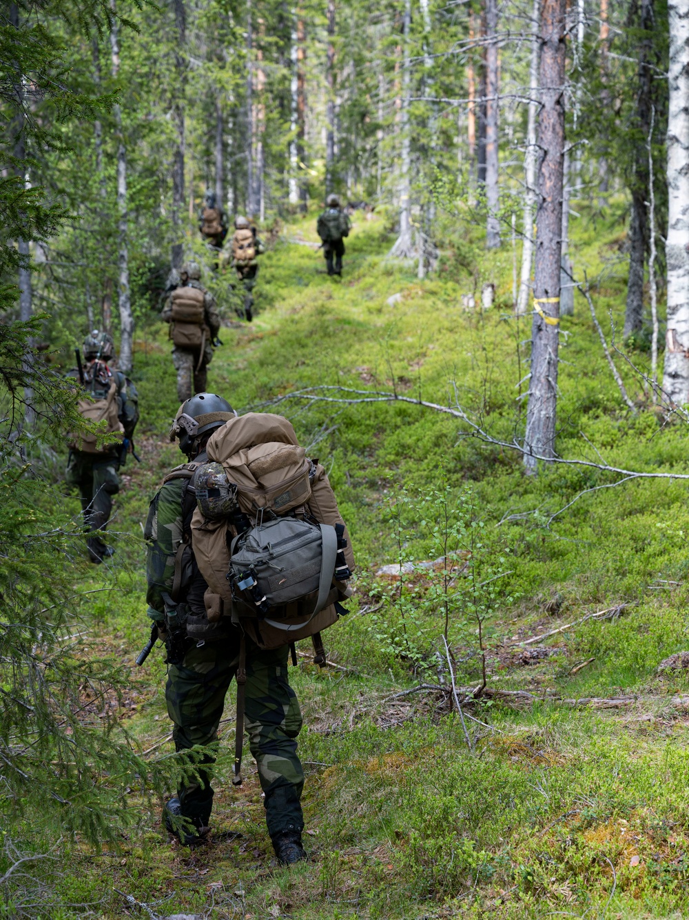 U.S. and Sweden partner for land navigation exercise