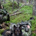U.S. and Sweden partner for land navigation exercise