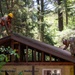 Reservists restore Redwood facilities during Innovative Readiness Training