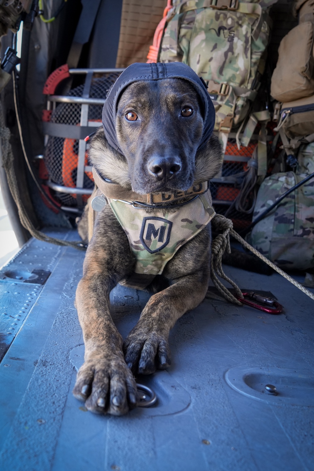 Air and Marine Operations Fast Rope Proficiency Traning and Operational Flight