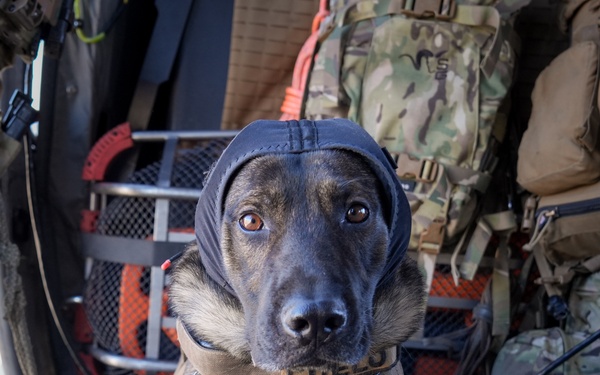 Air and Marine Operations Fast Rope Proficiency Traning and Operational Flight