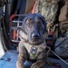 Air and Marine Operations Fast Rope Proficiency Traning and Operational Flight