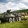 U.S. Army tests new anti-drone tech in Project Flytrap