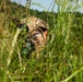 U.S. Army tests new anti-drone tech in Project Flytrap