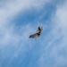 NMUSAF welcomes the F-35