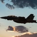 USAF Weapons School Integration 25A