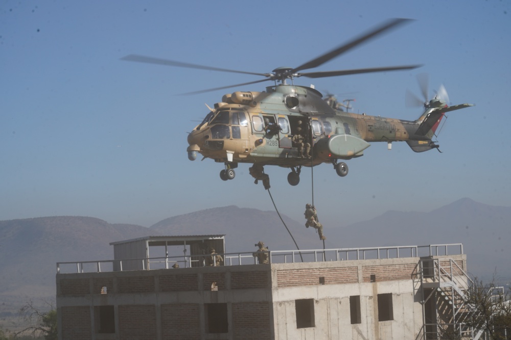 Combined Direct Action Capabilities Exercise