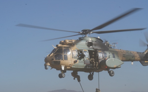 Combined Direct Action Capabilities Exercise