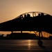 USAF Weapons School Integration 25A