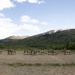 The Adjutant General’s Match 2025