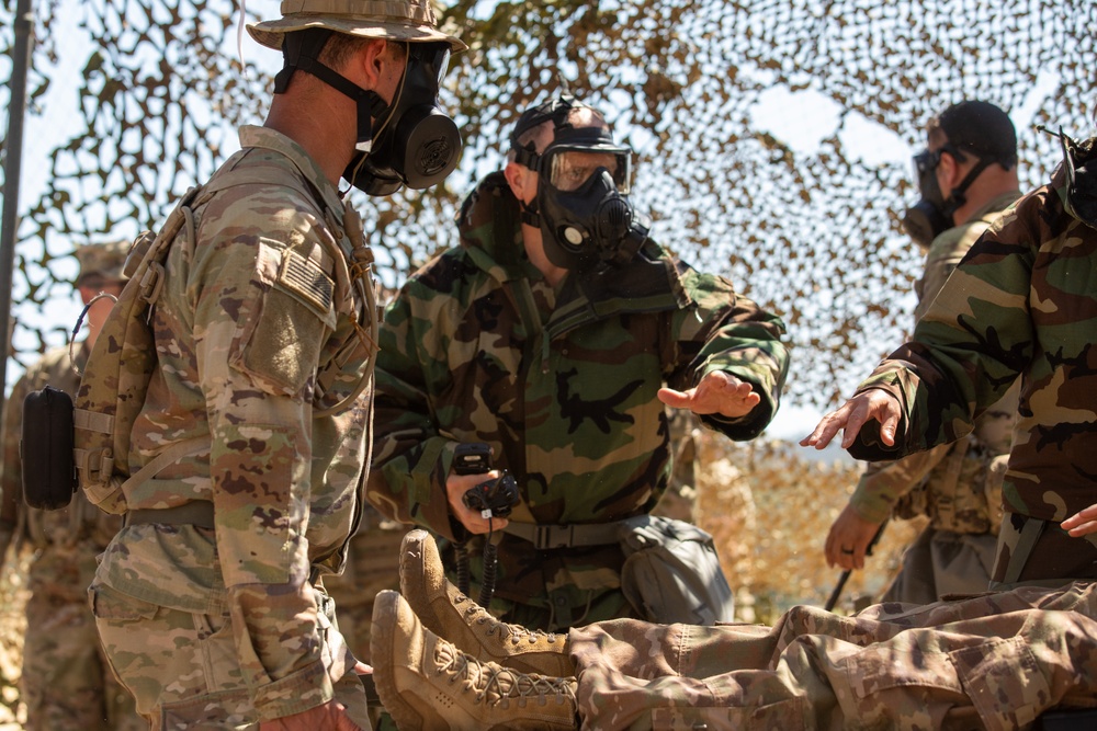 452nd Field Hospital puts skills to the test in Global Medic mass casualty exercise