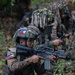 Salaknib 25 Final Assault