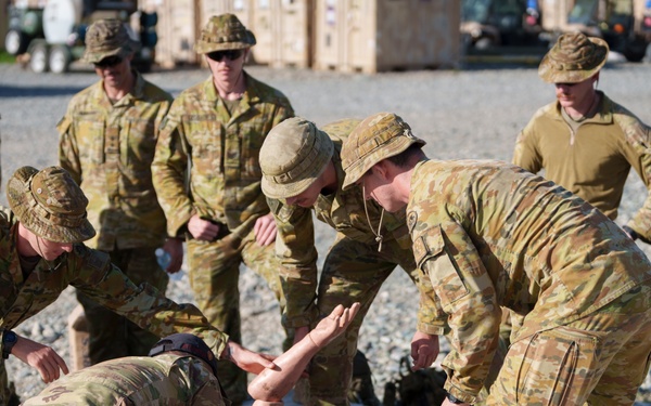 Hoist Training JPMRC-X