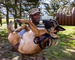 Meet Sgt. Allen and MWD Sasu [Image 7 of 7]