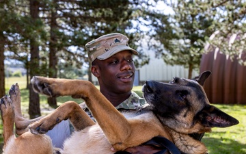 Meet Sgt. Allen and MWD Sasu