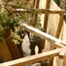 Trench Reinforcement Training - BALTOPS25