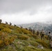 U.S. and Greek forces train on Mount Olympus during Immediate Response 25