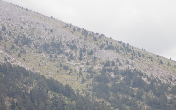 U.S. and Greek forces train on Mount Olympus during Immediate Response 25