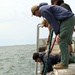 U.S. Navy Divers, Latvian Divers Remove Pylons During BALTOPS 25