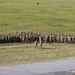 18th MP BDE in Immediate Response