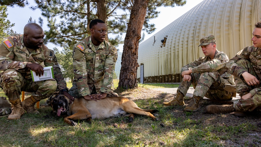 K9 Basic Medical Class