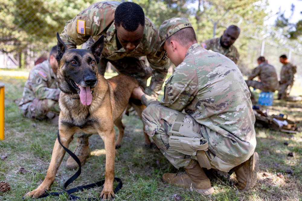 K9 Basic Medical Class