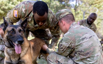 K9 Basic Medical Class