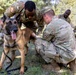 K9 Basic Medical Class