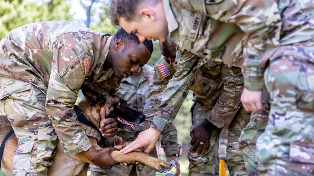 K9 Basic Medical Class