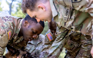 K9 Basic Medical Class