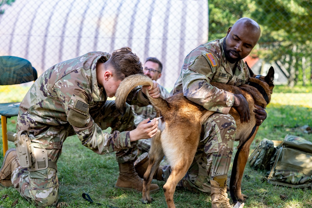 K9 Basic Medical Class