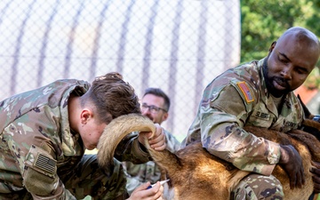 K9 Basic Medical Class