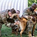 K9 Basic Medical Class
