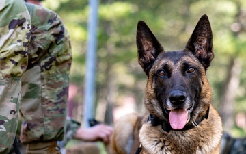 K9 Basic Medical Class