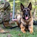 K9 Basic Medical Class