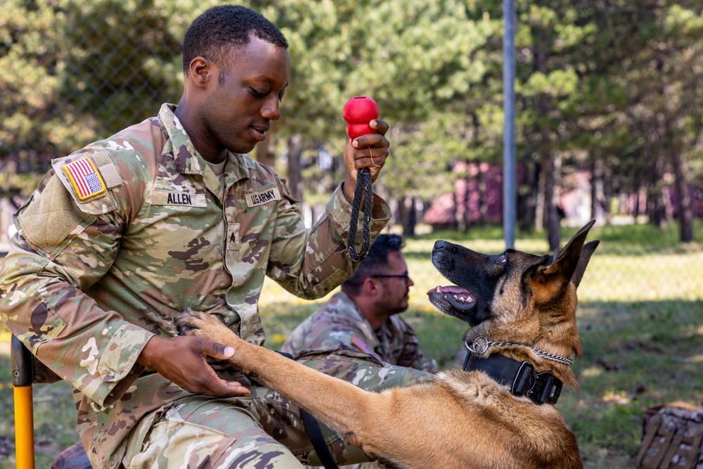 K9 Basic Medical Class
