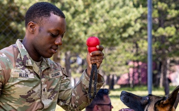 K9 Basic Medical Class