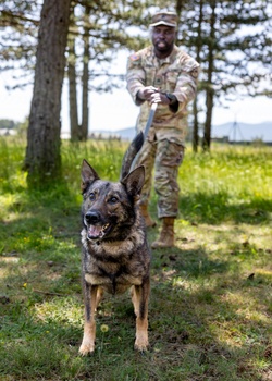 K9s in Croatia [Image 12 of 13]