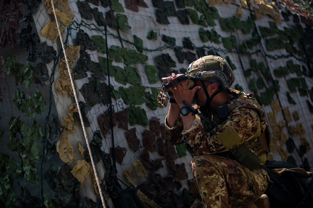 Combined Arms Live-Fire Exercise during Balkan Sentinel