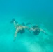 Exercise Caribbean Coastal Warrior 25: UBA to SCUBA Drills