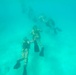 Exercise Caribbean Coastal Warrior 25: UBA to SCUBA Drills